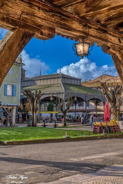 Superbe Appartement Plein Centre, Calme, Netflix Mirepoix  Exterior photo